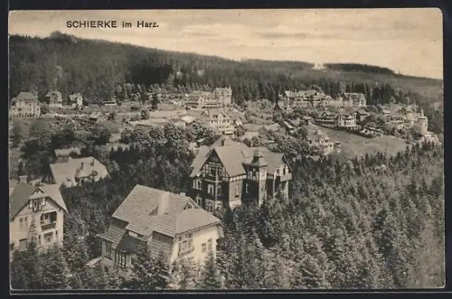 AK Schierke im Harz, Ortsansicht mit Villen und Wald