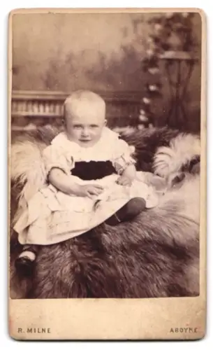 Fotografie R. Milne, Aboyne, Monogramm des Fotografen auf Vorhang mit Blumenvase