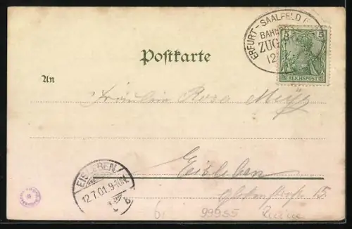 AK Blankenburg / Th., Blick auf Ruine Greifenstein