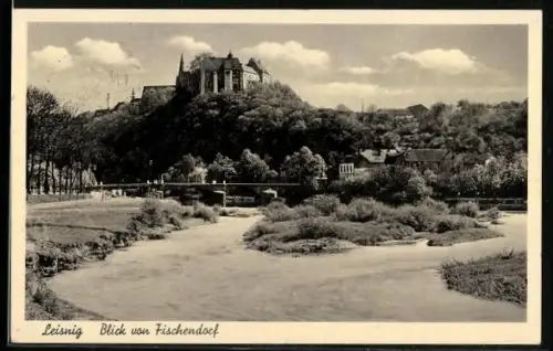 AK Leisnig, Blick von Fischendorf mit Flusspartie