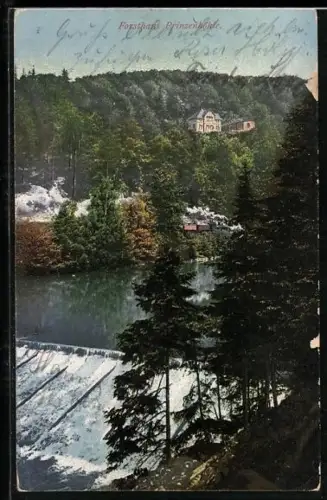 AK Hartenstein / Sachsen, Forsthaus Prinzenhöhle, Wehr, Waldpartie