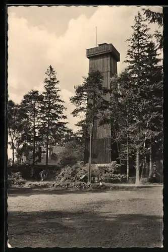AK Wildenau / Vogtland, Berggaststätte Steinberg, Aussichtsturm