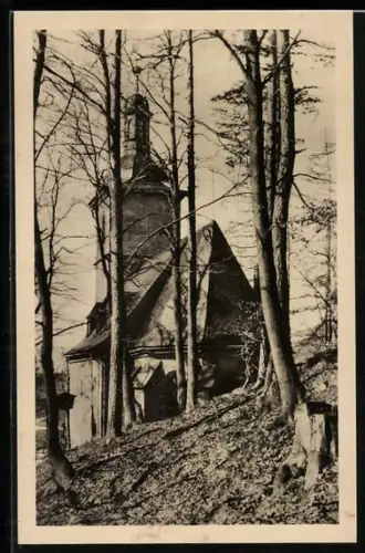 AK Rauenstein / Sachs.-Mein., Waldkirche