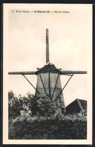 AK St-Niklaas-W., Witte Molen, Moulin Blanc, Windmühle