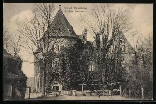 AK Reinsberg / Sachsen, Schloss mit Grünanlagen