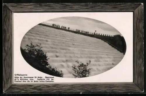 Passepartout-AK Gemünd / Eifel, Urfttalsperre in Holzrahmenoptik
