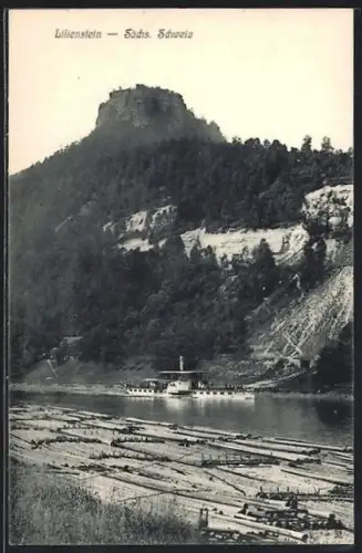 AK Lilienstein /Sächs. Schweiz, Ortsansicht mit Holzflössung, Dampfer