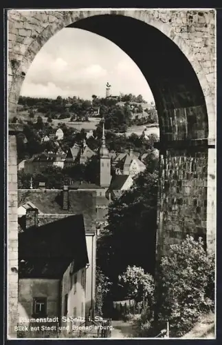 AK Sebnitz /Sa., Stadt und Grenadierburg