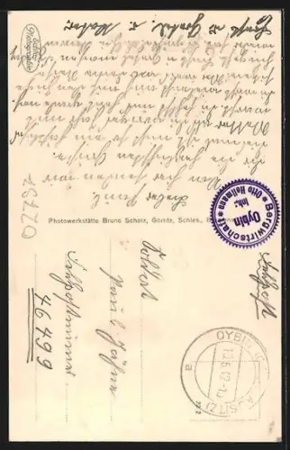 AK Oybin, Kirche aus der Vogelschau