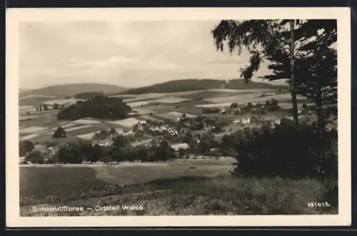 AK Sohland-Wiese / Spree, Ortsansicht mit Umgebung