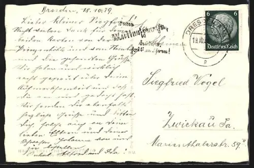 AK Dresden, Dampferanlegestelle, Panorama