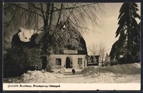 AK Hirschsprung / Altenberg, Gasthof Buschhaus