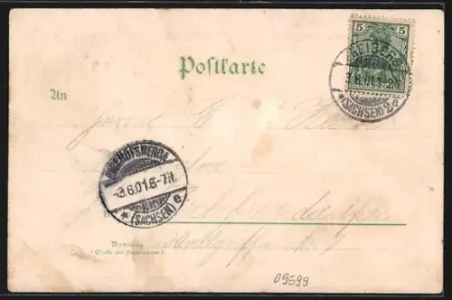 Lithographie Freiberg / Sachsen, Brunnendenkmal, Goldne Pforte, Dom, Freitreppe im König Albert Park