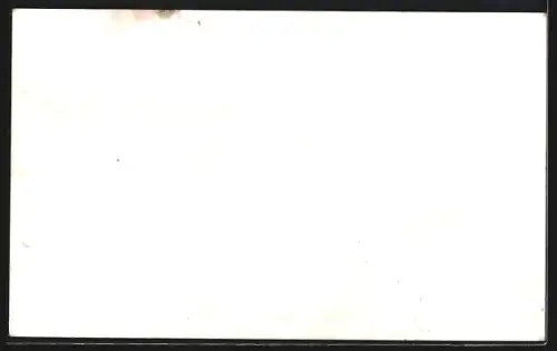 AK Gössnitz / S.-A., Chemische Fabrik F. H. Blechschmidt