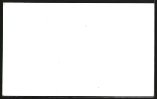 AK Gössnitz / S.-A., Chemische Fabrik F. H. Blechschmidt