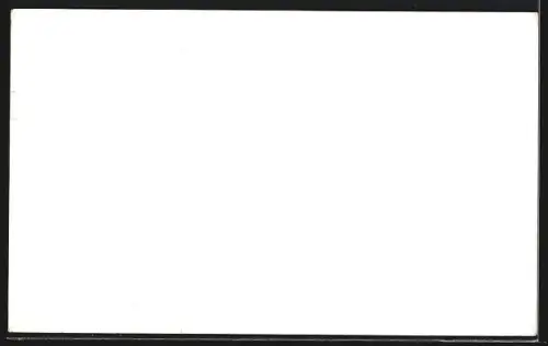 AK Gössnitz / S.-A., Chemische Fabrik F. H. Blechschmidt