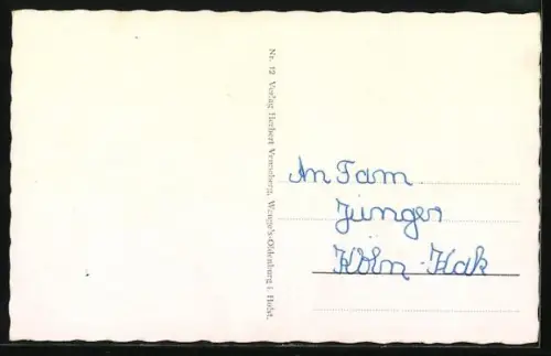 AK Norderney, Passagierschiff Frisia I auf See