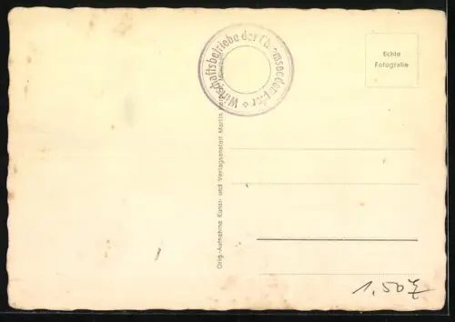 AK Chiemsee, Raddampfer Ludwig Fessler und Luitpold am Schiffsanleger