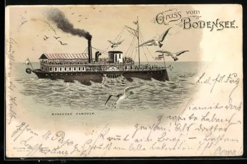 Lithographie Raddampfer in Fahrt auf dem Bodensee, Möwen