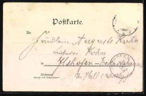 Lithographie Raddampfer in Fahrt auf dem Bodensee, Möwen