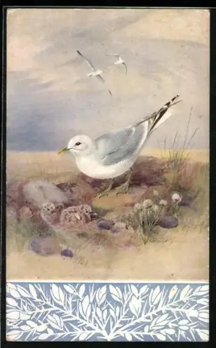 AK Möwe mit Jungen im Sand