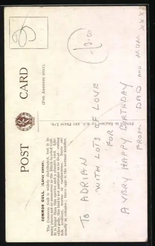 AK Möwe mit Jungen im Sand