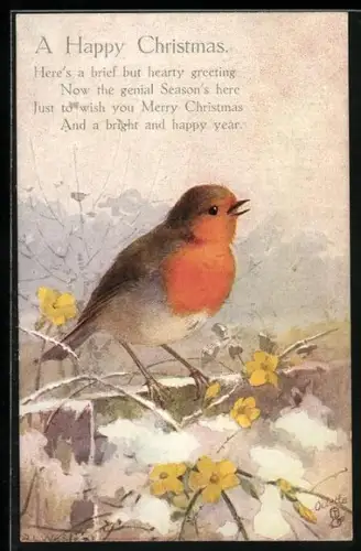 AK Singing Robin, Christmas Greeting