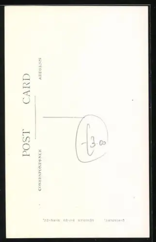 AK Terrier, Portrait