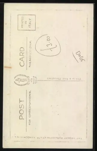 AK Hund mit Halsband, Geburtstagsgruss