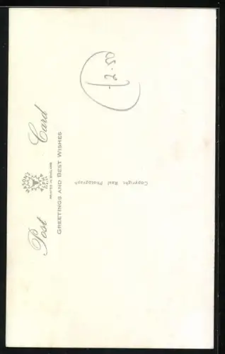 AK Wire-Haired Fox Terrier Puppy