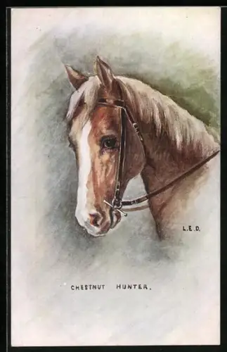AK Chestnut Hunter, Reitpferd