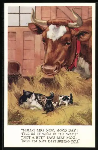 AK Kuh im Stall begrüsst Katze mit Jungen