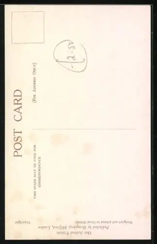 AK Kuh im Stall begrüsst Katze mit Jungen