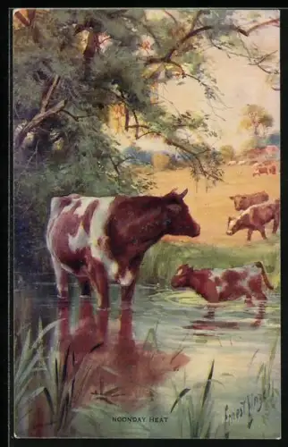 AK Milchkühe am Wasser