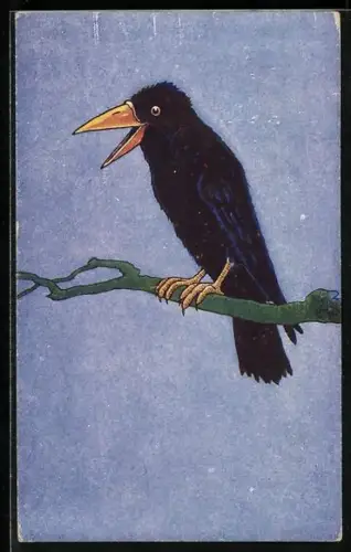 AK Rabe auf einem Ast