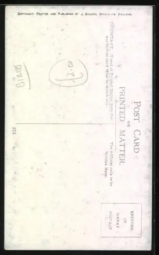 AK Rabe auf einem Ast