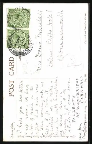 AK Young Long Tailed Tits