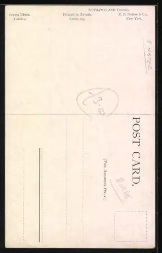 AK Spechtmutter mit Wurm und Jungen an einem Baumstamm