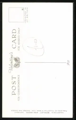 AK Rotkehlchen auf Eichenzweigen