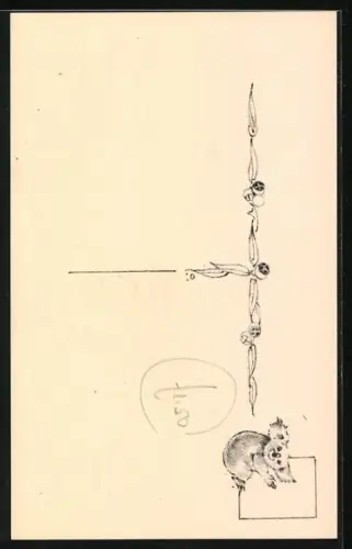 AK Leierschwanz-Paar, Portrait