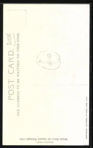 AK Seeschwalben am Strand