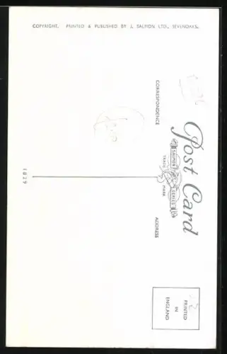 AK Schwanzmeisenpaar mit Nest