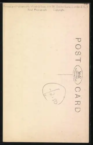 AK The Adjutant Stork