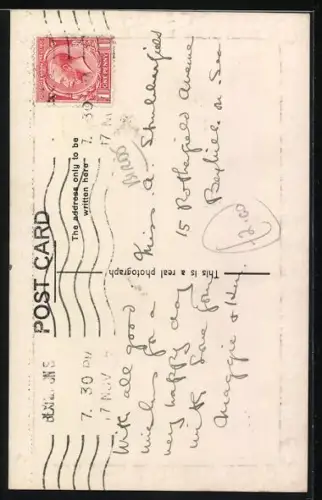 AK Zwei Papageien, Geburtstagsgruss