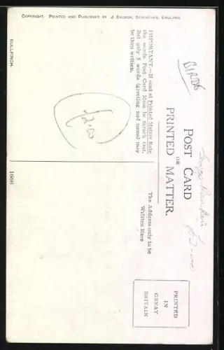 AK Bullfinch, Portrait