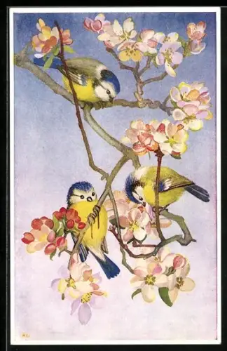 AK Drei Blaumeisen auf blühenden Zweigen