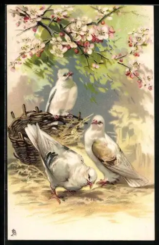 AK Vögel am Nest unter einem Baum, Pfingsten