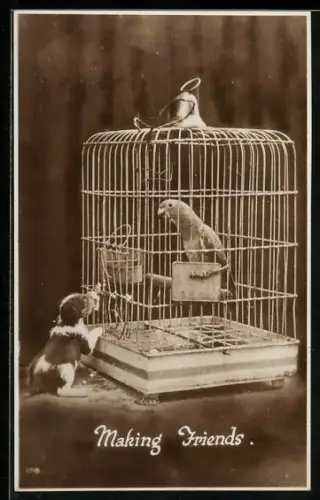AK Making Friends, Hundewelpe und Papagei im Käfig
