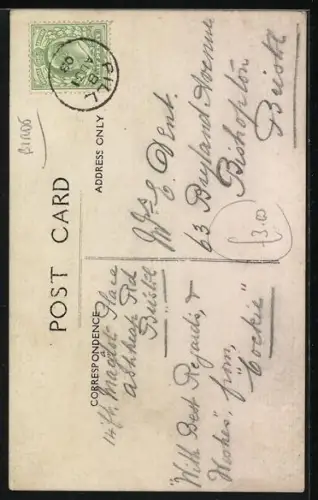 Foto-AK Kakadu im Käfig