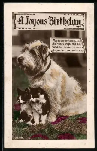 AK Terrier und Katzenkinder, Geburtstagsgruss